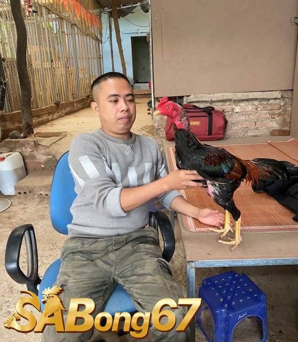 Hình ảnh bình luận viên AD Báo