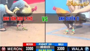 TRẬN 32 CPC3 12/1/2025 : ANH TẤN CẦN THƠ VS ANH DUYÊN TI