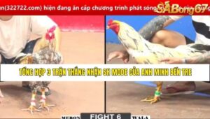 TỔNG HỢP 3 TRẬN CHỒNG ĐỘ CỦA ANH PHƯỚC