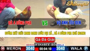 TRẬN 25 CPC1 10/4/2025