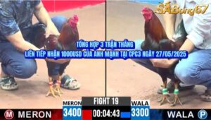 CPC3 NGÀY 27/05/2025