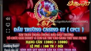 GIẢI ĐÁ GÀ TRE BỒ C1 NGÀY 26/5/2025