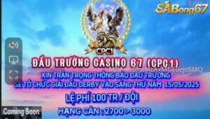 GIẢI DERBY BỒ C1 NGÀY 15/5/2025