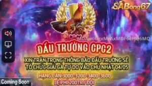 GIẢI GÀ TỰ DO BỒ C2 4/5/2025