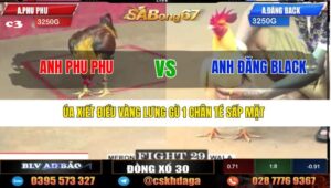 TRẬN 29 CPC2 23/05/2025