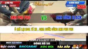 TRẬN 33 CPC2 23/05/2025