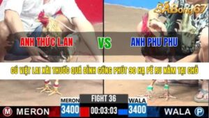 TRẬN 36 CPC3 22/6/2025