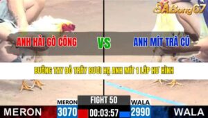 TRẬN 50 CPC3 17/12/2024