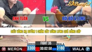 TRẬN 35 CPC3 8/7/2025