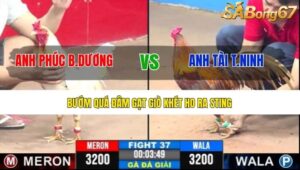 TRẬN 37 CPC3 6/7/2025