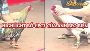 3 TRẬN THẮNG NHẬN 2000 USD CPC3 5/8/2025