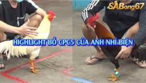 TỔNG HỢP 3 TRẬN THẮNG NHẬN 20 TRIỆU CPC5 16/8/2025