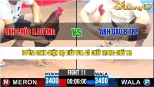 TRẬN 11 CPC3 5/8/2025