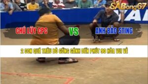 TRẬN 12 BỒ TONHON 27/8/2025