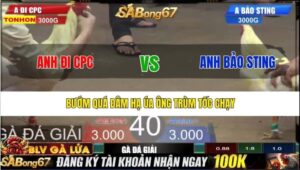 TRẬN 40 BỒ TONHON 27/8/2025