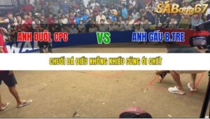 TRẬN 12 TONHON 27/9/2025