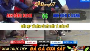 TRẬN 17 BỒ TONHON 12/9/2025