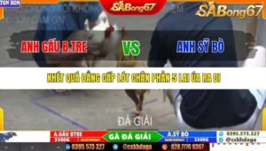 TRẬN 17 TONHON 27/9/2025