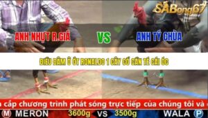 TRẬN 18 CPC5 20/9/2025