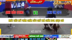 TRẬN 19 TONHON 27/9/2025