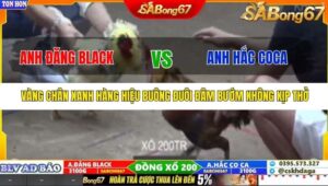 TRẬN 21 TONHON 27/9/2025