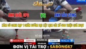 TRẬN 22 BỒ TONHON 12/9/2025