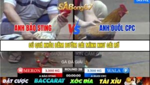 TRẬN 28 BỒ TONHON 12/9/2025