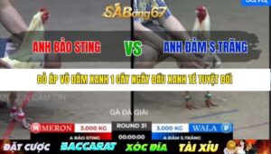 TRẬN 31 BỒ TONHON 12/9/2025