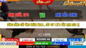 TRẬN 46 TONHON 27/9/2025