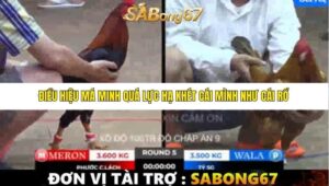 TRẬN 5 BỒ TONHON 12/9/2025