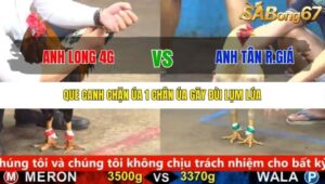 TRẬN 6 CPC5 25/9/2025