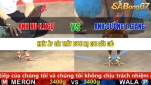 TRẬN 7 CPC5 25/9/2025