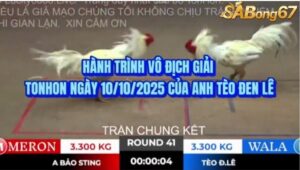 HÀNH TRÌNH VÔ ĐỊCH GIẢI TONHON NGÀY 10/10/2025