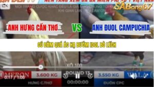 TRẬN 13 TONHON 18/10/2025