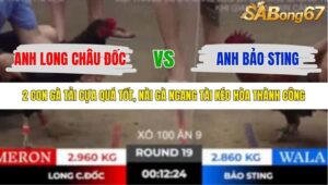 TRẬN 19 TONHON 18/10/2025