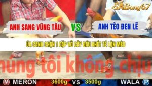 TRẬN 2 CPC5 23/10/2025