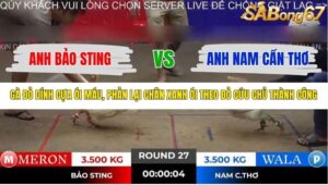 TRẬN 27 TONHON 18/10/2025