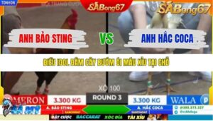 TRẬN 3 TONHON 18/10/2025