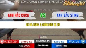 TRẬN 34 TONHON 18/10/2025