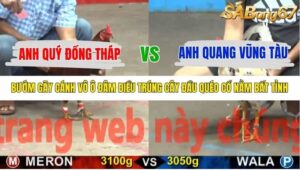 TRẬN 35 CPC5 22/10/2025