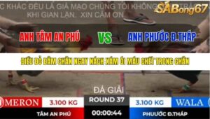 TRẬN 37 TONHON 10/10/2025