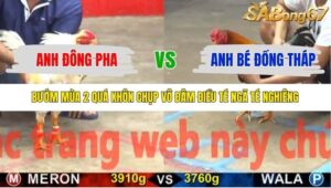 TRẬN 6 CPC5 23/10/2025