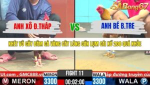 TRẬN 11 CPC6 28/10/2025