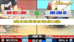 TRẬN 14 CPC6 31/10/2025