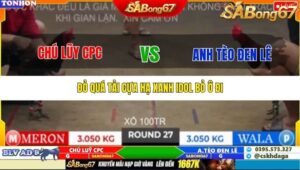 TRẬN 27 TONHON 10/10/2025