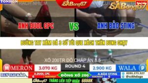 TRẬN 4 TONHON 10/10/2025