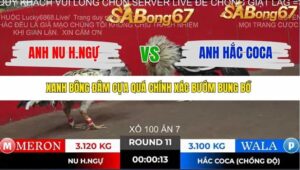 TRẬN 11 TONHON 2/11/2025