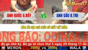 TRẬN 12 CPC5 NGÀY 20/11/2025