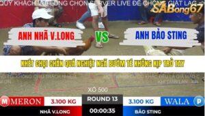 TRẬN 13 TONHON 28/11/2025