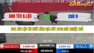 TRẬN 14 TONHON 28/11/2025